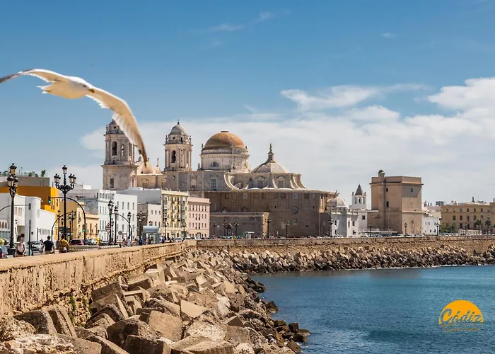 Delfin Azul 2 Free Parking By Time Cadiz